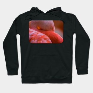 Flamingo Hoodie